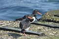 13 04 12_9491_edited-1